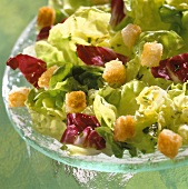 Gemischter Blattsalat mit Croûtons und Kräuterdressing