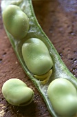 Lima beans in the pod