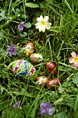Chocolate eggs in grass