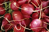 Fresh radishes