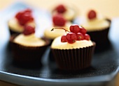 Schokoförmchen mit Vanillecreme und Johannisbeeren