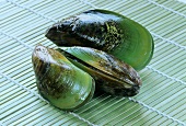 New Zealand mussels