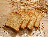 Four slices of zwieback (rusk) with ears & grains of corn