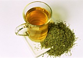 Horsetail tea and dried herb (Equisetum arvense)