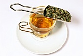 Woodruff tea (Galium odoratum)