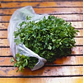Fresh parsley in plastic bag