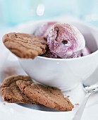 Blueberry yoghurt ice cream with biscuit
