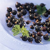 Blackcurrants with leaves on plate
