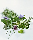 Fresh herbs with flowers