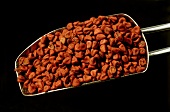 Annatto seeds (Bixa orellana)