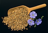 Linseed and flax flowers