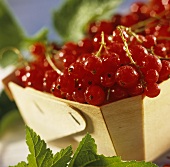 Redcurrants with dew drops in wooden bowl