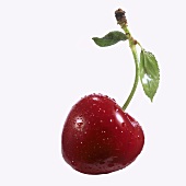 One Cherry