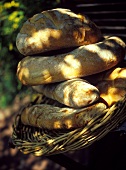 Italienische Brotsorten im Korb