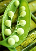 Opened young pea pod