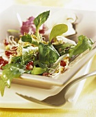 Mixed salad with pomegranate dressing
