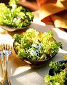 Curly endive salad with soft cheese balls