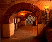Wine cellar of the Errazuriz Panquehue Winery, Chile