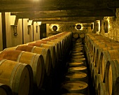 Wine cellar in Chateau de Seguin, Bordeaux, France
