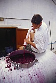 Filling the wine tank, Nitida Cellars, Durbanville, S. Africa