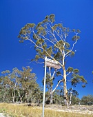 Signpost to Mount Langi, Ghiran Winery, Victoria, Australia