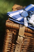 Picnic basket (close-up)