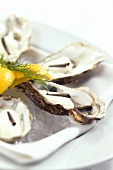 Raw oysters with truffles