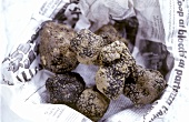 Black truffle in newspaper from Piedmont
