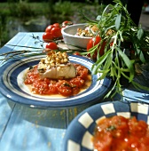 Red snapper with fennel and olive crust on tomatoes