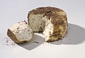 Brin d'amour (Corsican sheep's cheese with wild herbs)