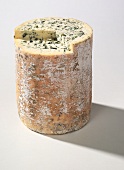 Fourme d Ambert (French cheese from Auvergne)