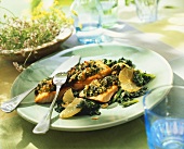 Salmon fillet with herb crust on bed of spinach