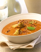 Creamed cherry tomato soup with fried onions and croutons