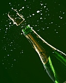 Cork flying out of a champagne bottle