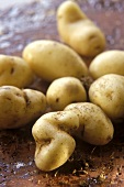 Kartoffeln der Sorte 'La Ratte' (teure Luxus-Kartoffeln)