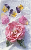 Sugared rose and sugared pansies