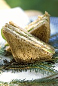 Hiking food: wholemeal sandwich with carrot filling