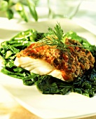 Alaska pollock fillet with herb crust on spinach