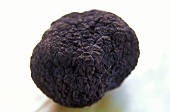 Whole black truffle