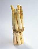Thick spears of white asparagus tied with string