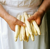 Hand holding thick white asparagus spears
