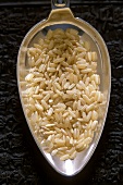 Uncooked Camargue long-grain rice on silver spoon