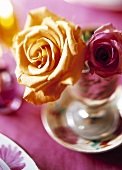 Yellow and red rose in a glass as table decoration