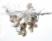 Mushrooms falling into water