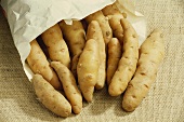 Kartoffeln, Sorte Bamberger Hörnchen in Papiertüte