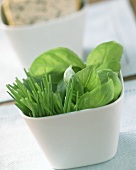 Fresh chives and basil in a bowl