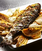 Baked trout on baked vegetables