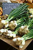 Spring onions at the market