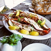 Grilled langustinos (spiny lobsters)