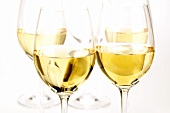 Vier Gläser Weißwein